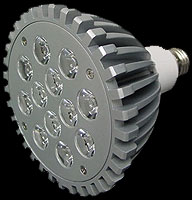 PAR38 12x1 Bulb