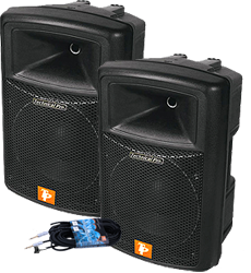 Technical Pro Power 10 Speaker