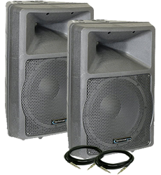 Technical Pro ROX 12 Speaker