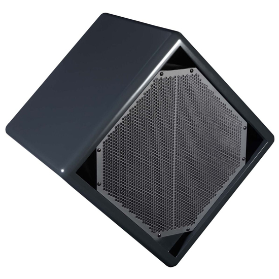 BASSBOSS DiaMon 112 12" Remote Powered Top Weatherized Passive Loudspeaker - Enamel Charcoal