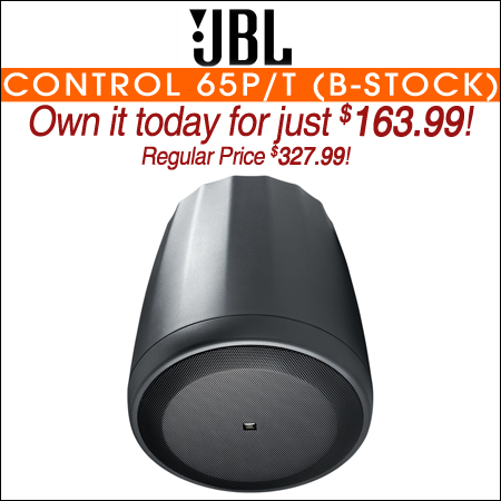 JBL Control 65P/T (B-Stock) Compact Full-Range Pendant Speaker