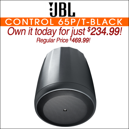 JBL Control 65P/T Compact Full-Range Pendant Speaker-Black