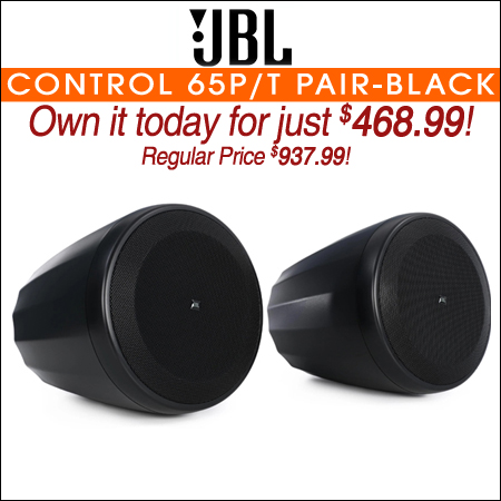 JBL Control 65P/T Compact Pendant Speaker Pair - Black