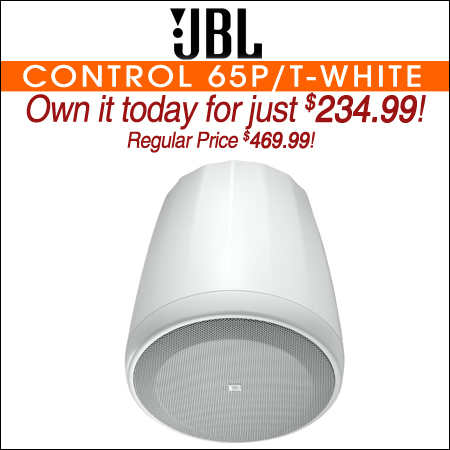 JBL Control 65P/T Compact Full-Range Pendant Speaker-White