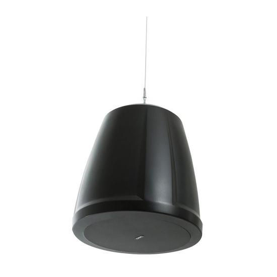 QSC AcousticDesign AD-P6T 6.5-inch 2-way Pendant Speaker-Black