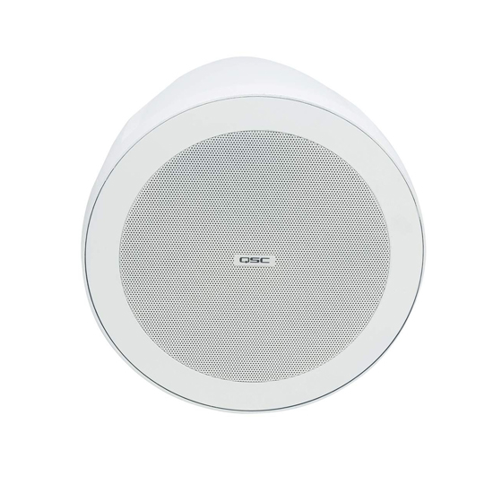 QSC AcousticDesign AD-P6T 6.5-inch 2-way Pendant Speaker-White