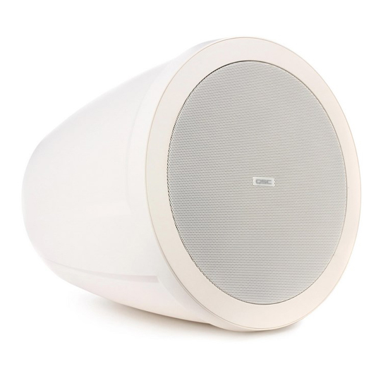 QSC AcousticDesign AD-P6T 6.5-inch 2-way Pendant Speaker-White